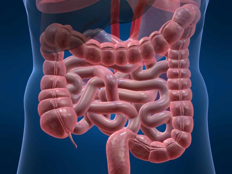Diseases of the digestive system 